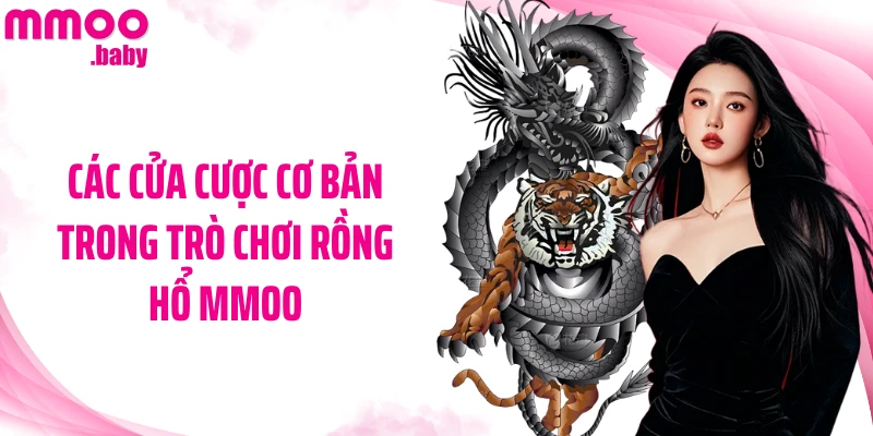 Các cửa cược cơ bản trong trò chơi Rồng Hổ MMOO